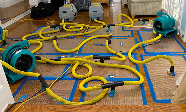 Professional Basement Flood Cleanup technician working in Warrenton, MO